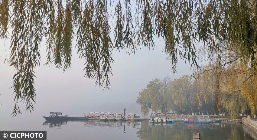 缤纷糖果消消乐